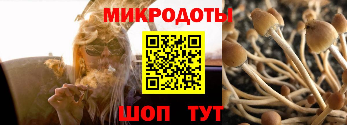 Псилоцибиновые грибы Psilocybine cubensis  где можно купить   Нерюнгри  Вход с VPN 